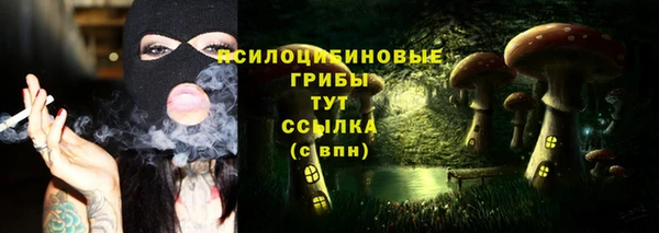 PSILOCYBIN Алексин