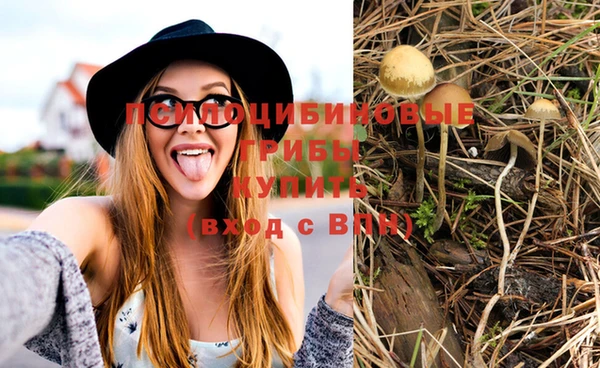 PSILOCYBIN Алексин