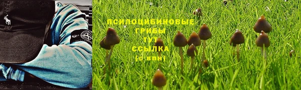 PSILOCYBIN Алексин
