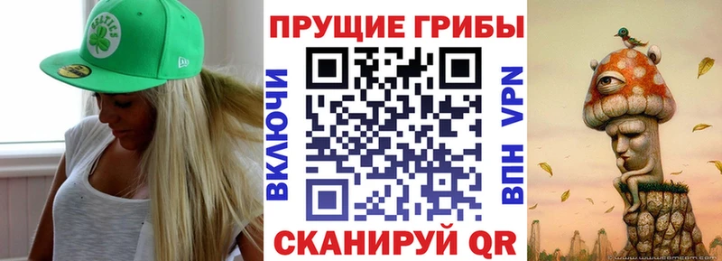 Псилоцибиновые грибы мицелий  блэк спрут tor  Шумиха  закладка 