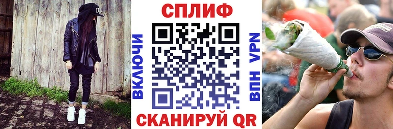 Канабис конопля Шумиха